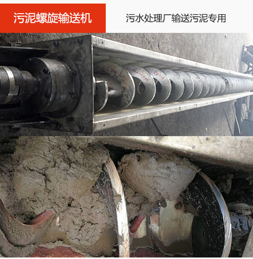 污泥九一免费看片软件水平/倾斜输送，污水厂输送污泥专用设备。