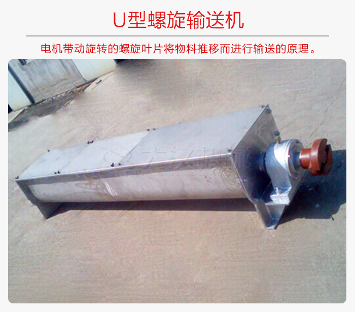 U型九一免费看片软件